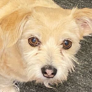 Meet your Posher, Debra